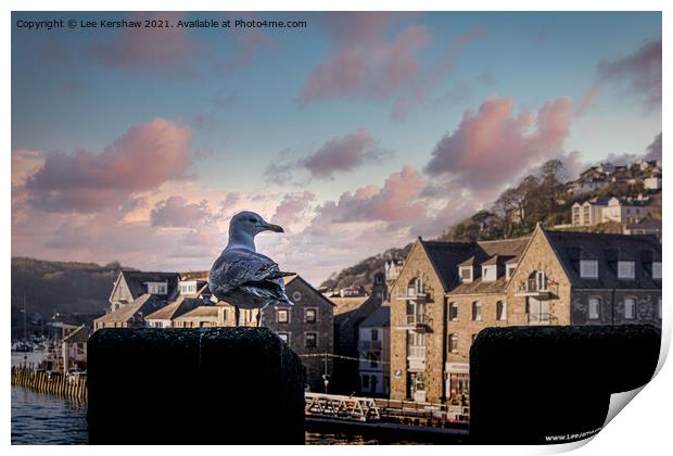 Looe Seagull - Lord of all I Survey Print by Lee Kershaw
