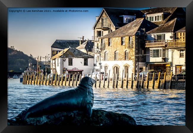 Nelson the Seal at Looe Framed Print by Lee Kershaw