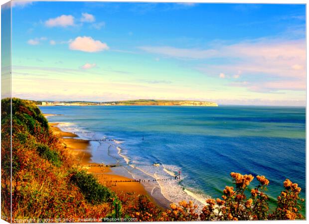 Sandown bay from Shanklin cliffs on the Isle of Wight Canvas Print by john hill