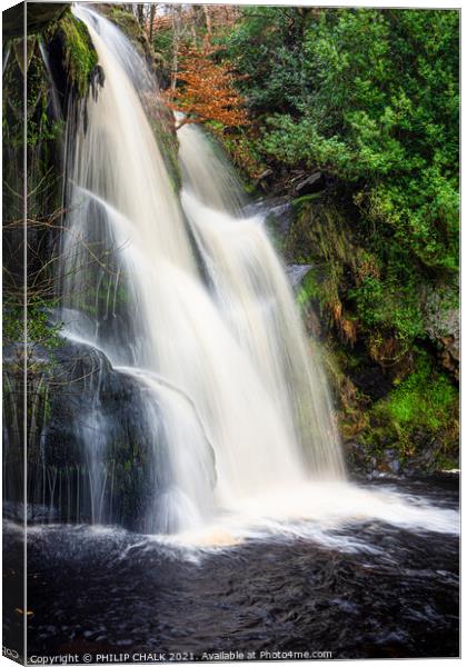 Posforth waterfall in the valley of desolation near Bolton abbey 495  Canvas Print by PHILIP CHALK