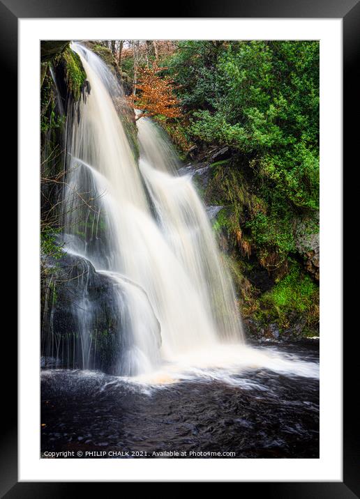 Posforth waterfall in the valley of desolation near Bolton abbey 495  Framed Mounted Print by PHILIP CHALK