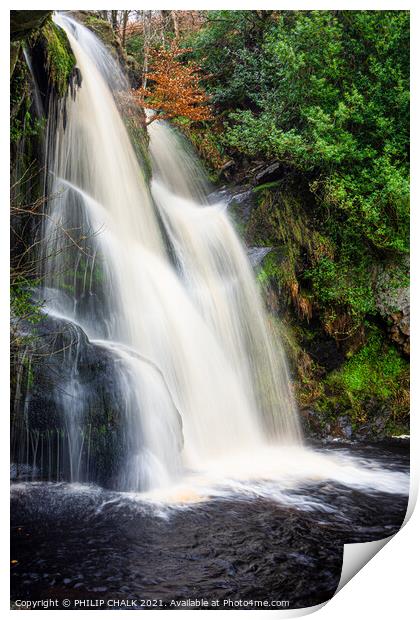 Posforth waterfall in the valley of desolation near Bolton abbey 495  Print by PHILIP CHALK
