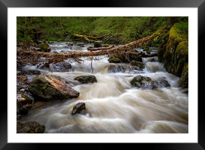 The Pwll y berw river at Dinas Rock Framed Mounted Print by Leighton Collins