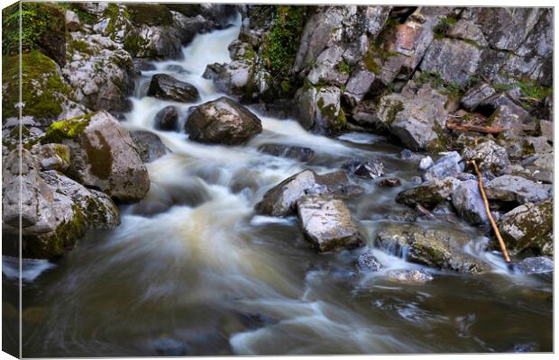 Sticks and stones and flowing water Canvas Print by Leighton Collins