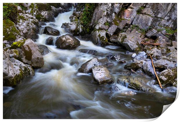 Sticks and stones and flowing water Print by Leighton Collins