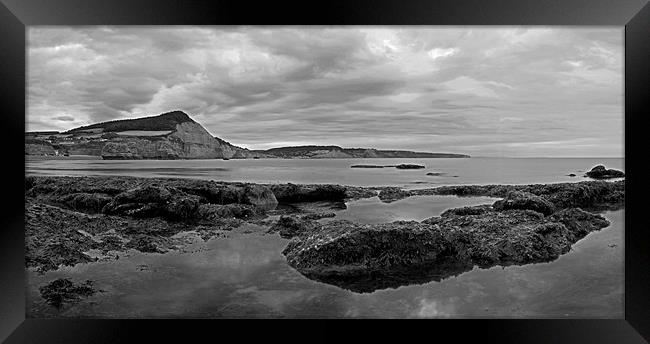 Ladram Bay and Sidmouth Framed Print by Pete Hemington