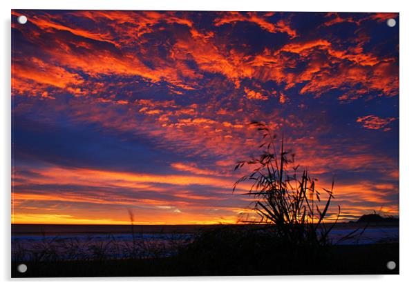 Sunset Sky Acrylic by Neil Gavin