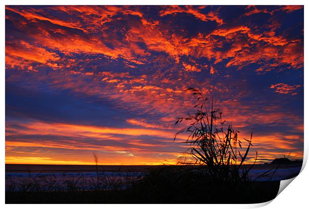 Sunset Sky Print by Neil Gavin