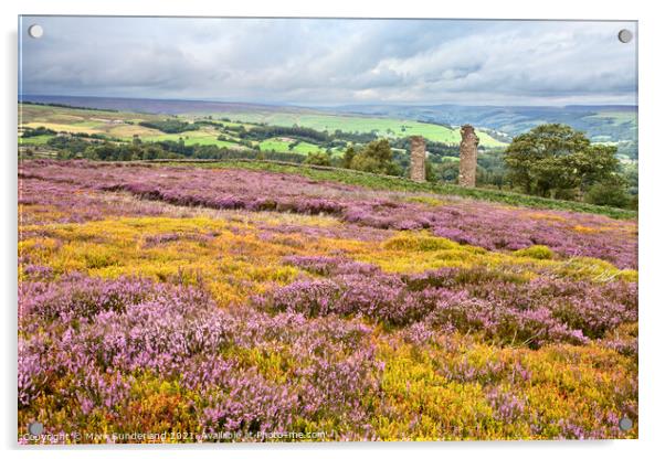 Heather in Bloom at Yorkes Folly or Two Stoops Acrylic by Mark Sunderland