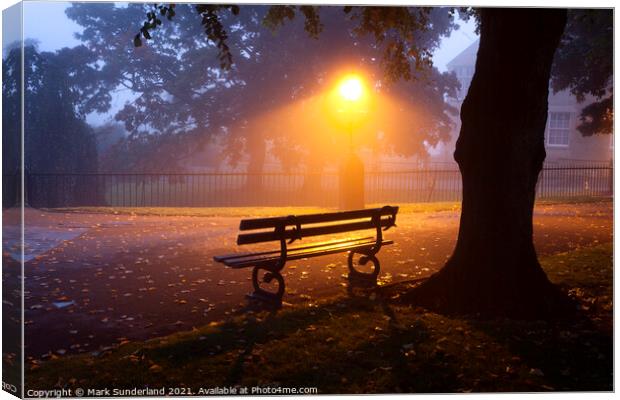 Park Bench under a Tree on a Misty Morning Canvas Print by Mark Sunderland