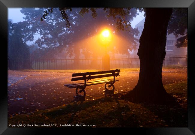 Park Bench under a Tree on a Misty Morning Framed Print by Mark Sunderland