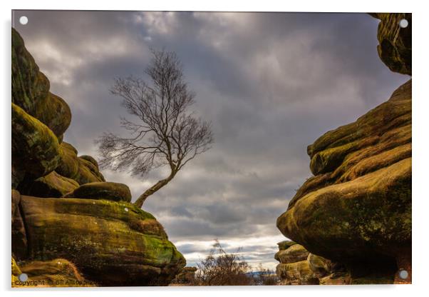 Brimham rocks. Acrylic by Bill Allsopp