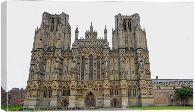 Wells cathedral Canvas Print by terrylee davis