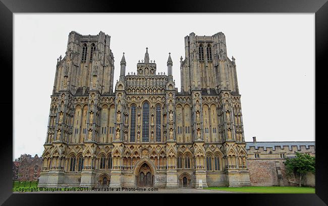 Wells cathedral Framed Print by terrylee davis