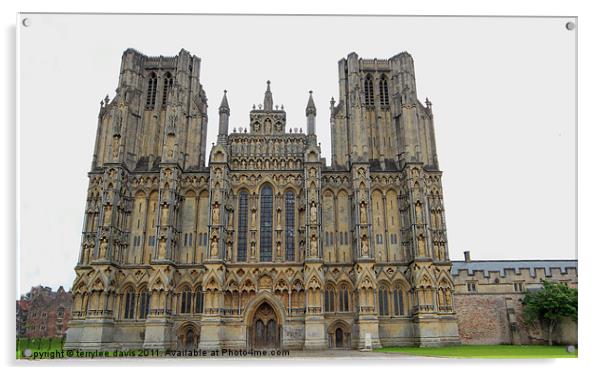 Wells cathedral Acrylic by terrylee davis
