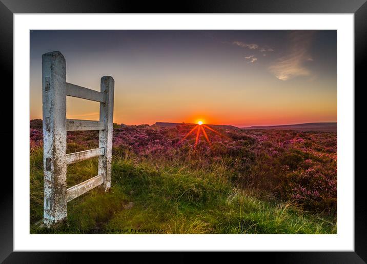 Sunset over heather moorland. Framed Mounted Print by Bill Allsopp
