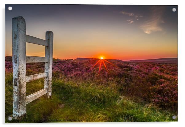 Sunset over heather moorland. Acrylic by Bill Allsopp