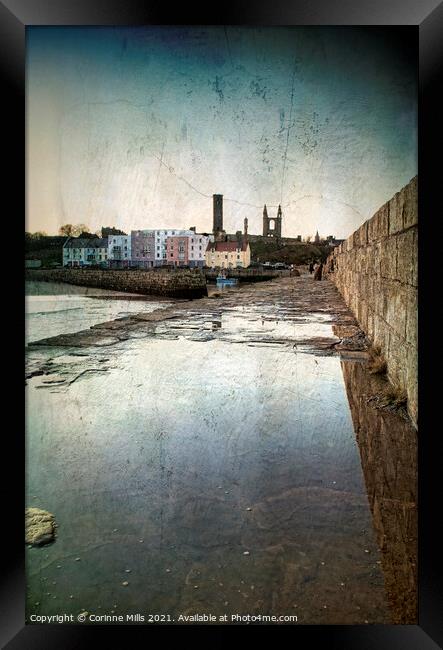 St Andrews Harbour Framed Print by Corinne Mills