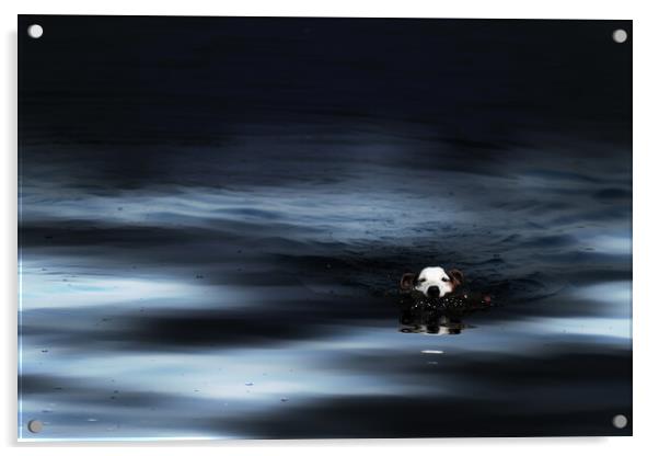 DG0003 - Midnight Dip Acrylic by Robin Cunningham