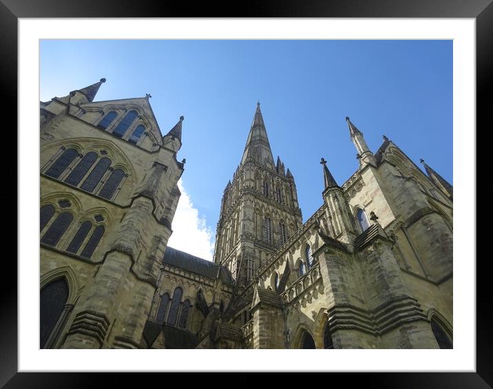 Salisbury Cathedral Framed Mounted Print by John Bridge