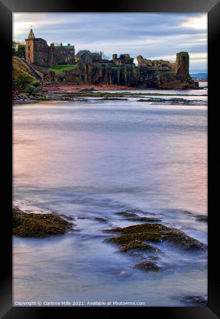 St Andrews Castle from the harbour Framed Print by Corinne Mills