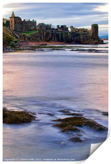 St Andrews Castle from the harbour Print by Corinne Mills