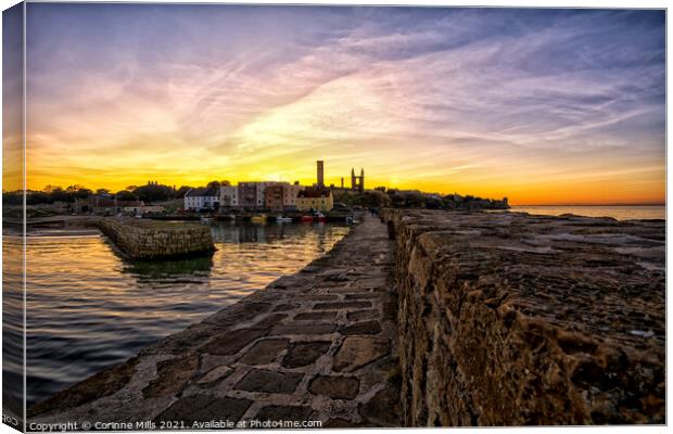 Sunset at St Andrews Harbour Canvas Print by Corinne Mills