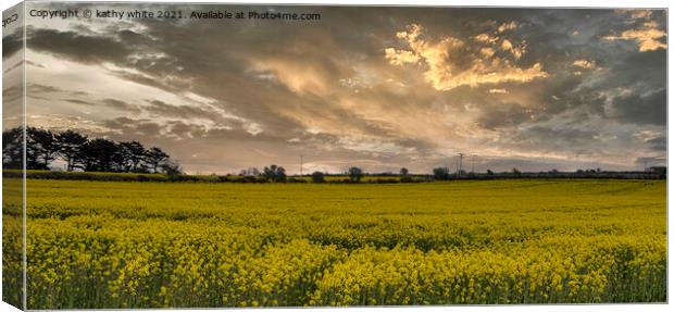 Rapeseed field ,carpet of gold Canvas Print by kathy white