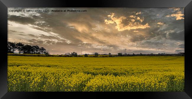 Rapeseed field ,carpet of gold Framed Print by kathy white