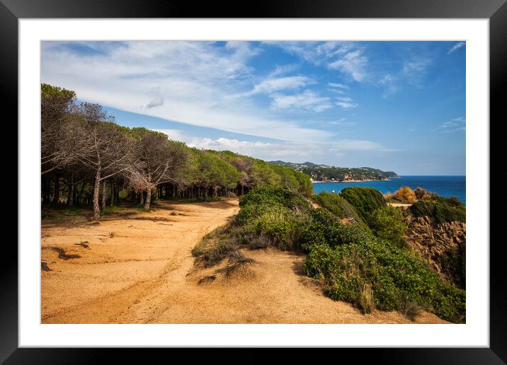 Edge Of The Forest Path On Costa Brava Framed Mounted Print by Artur Bogacki