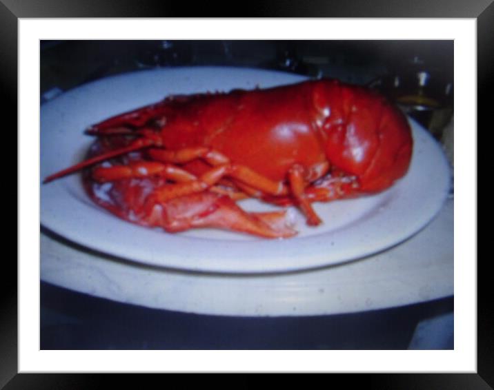A Maine Lobster Framed Mounted Print by John Bridge