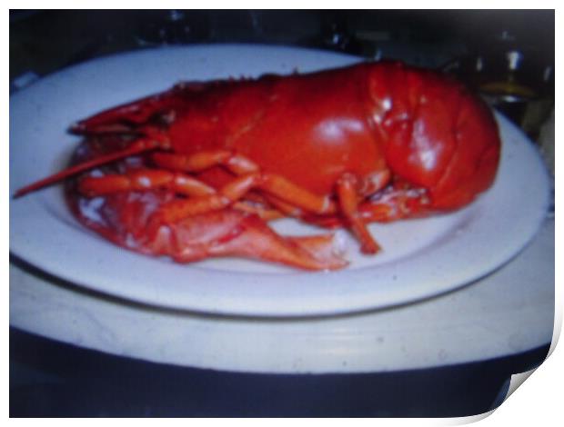 A Maine Lobster Print by John Bridge