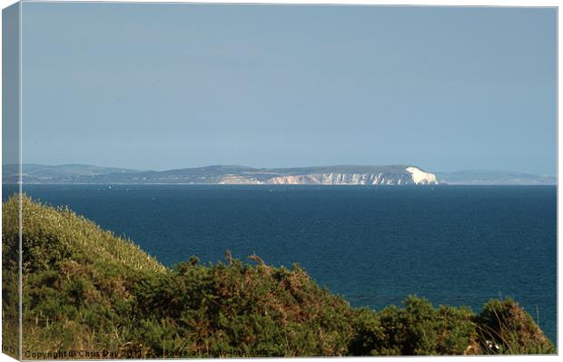 Isle of Wight Canvas Print by Chris Day