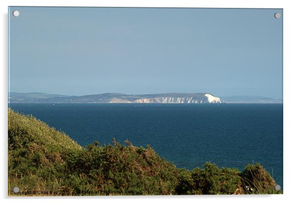 Isle of Wight Acrylic by Chris Day