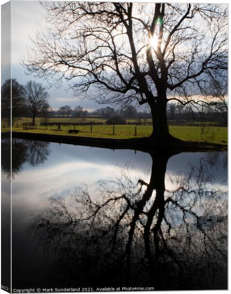 Winter Tree Silhouette with Sun Flares Canvas Print by Mark Sunderland