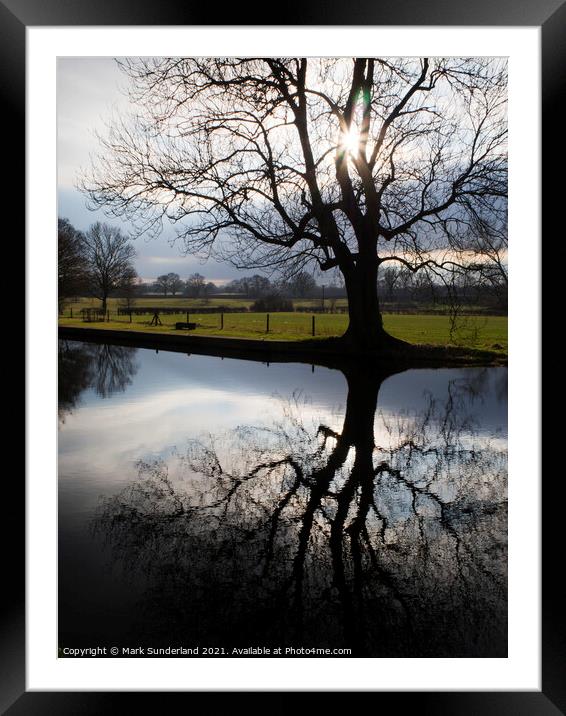 Winter Tree Silhouette with Sun Flares Framed Mounted Print by Mark Sunderland