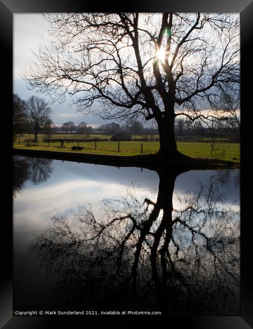 Winter Tree Silhouette with Sun Flares Framed Print by Mark Sunderland