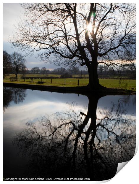 Winter Tree Silhouette with Sun Flares Print by Mark Sunderland