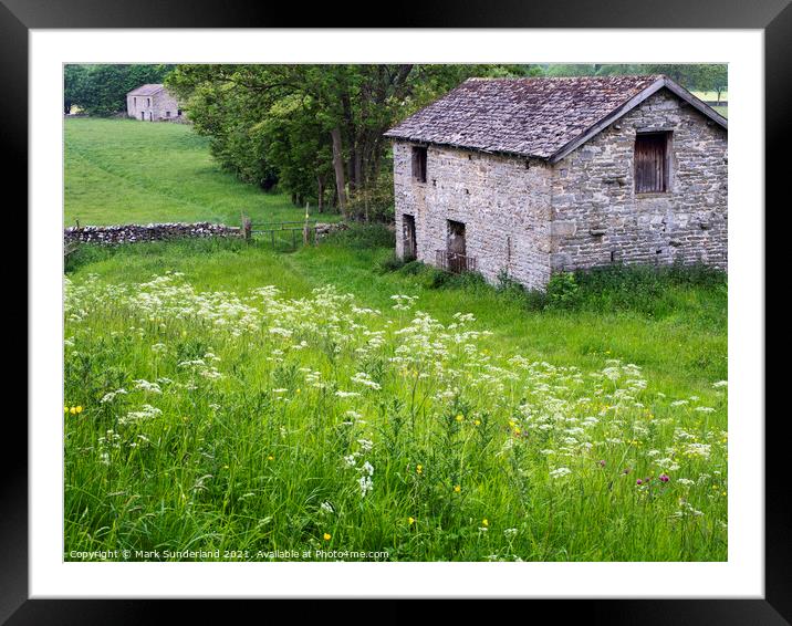 Field Barn near West Burton in Wensleydale Framed Mounted Print by Mark Sunderland