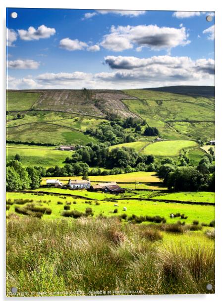 Farmland near Cowgill in Dentdale Acrylic by Mark Sunderland