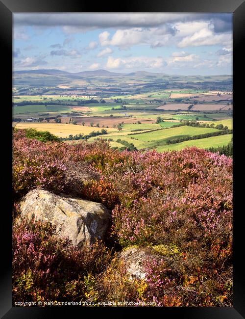 Heather Moorland in the Simonside Hills with Coquetdale and The Cheviots Framed Print by Mark Sunderland
