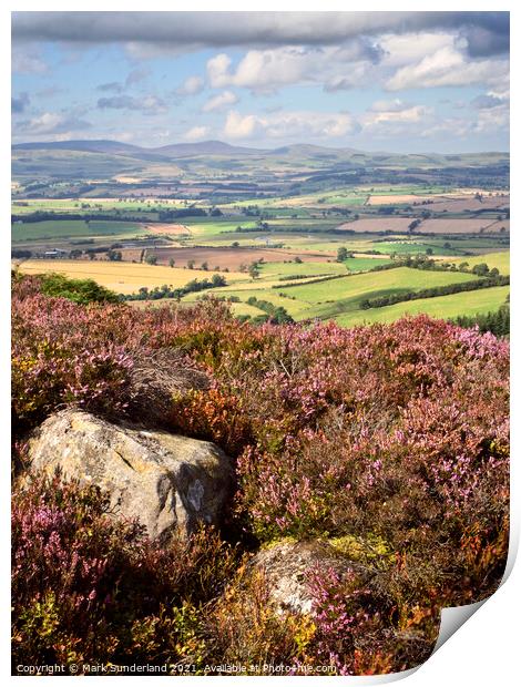 Heather Moorland in the Simonside Hills with Coquetdale and The Cheviots Print by Mark Sunderland