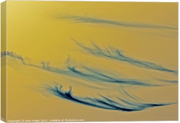 Cirrus Cloud inverted Canvas Print by Rory Hailes