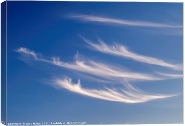 Cirrus clouds Canvas Print by Rory Hailes