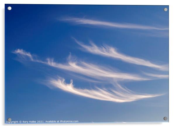 Cirrus clouds Acrylic by Rory Hailes