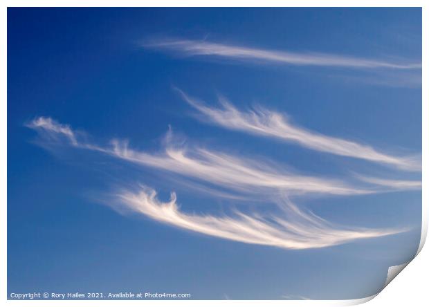 Cirrus clouds Print by Rory Hailes