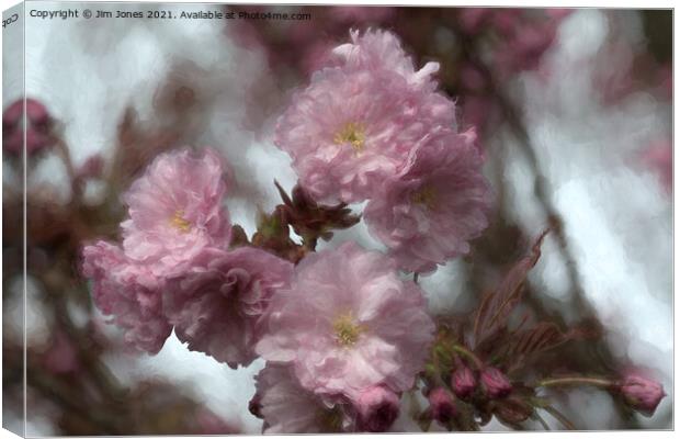 Dreamy Soft Cherry Blossom Canvas Print by Jim Jones