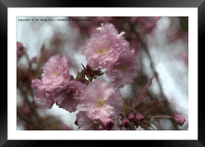 Dreamy Soft Cherry Blossom Framed Mounted Print by Jim Jones