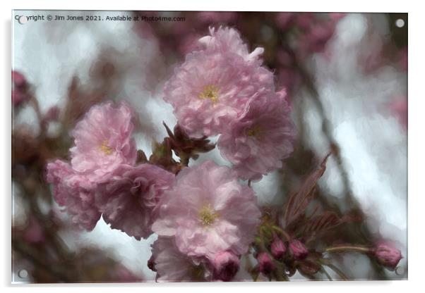 Dreamy Soft Cherry Blossom Acrylic by Jim Jones