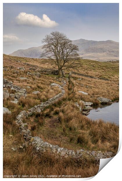 The Wall That Leads To The Tree Print by Jason Jones